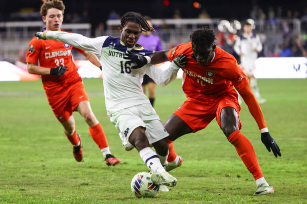 球迷的关注 球迷的关注